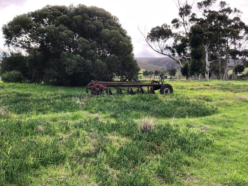 0 Bedroom Property for Sale in Baardskeerdersbos Western Cape